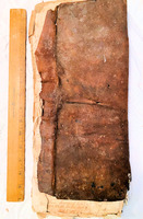 2021-310f.tif