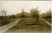 View South from the Town Hall, possibly Rte. 112