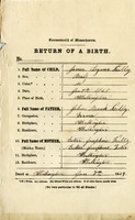 Birth certificate: James Lyman Kelly, January 4, 1868