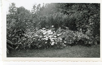2006-127d.tif