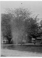 99-001b.tif