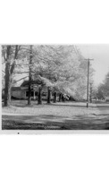 41-006a.tif
